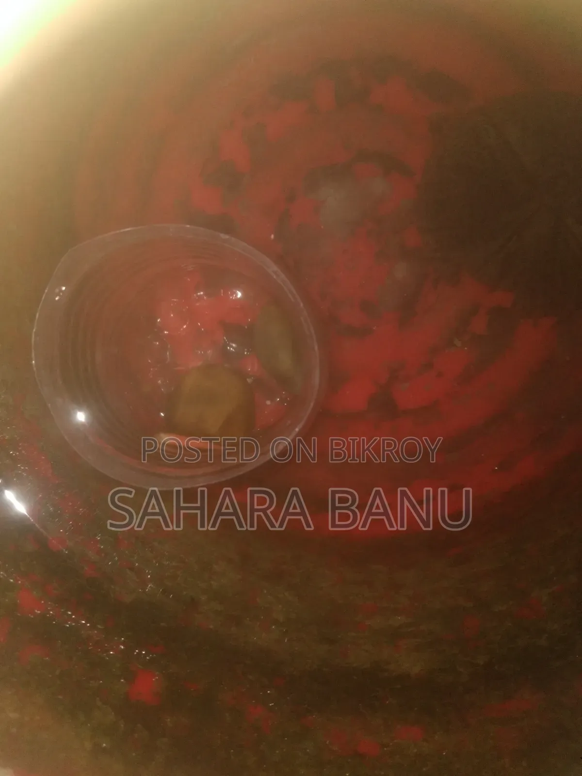 Aggressive Red Molly বিক্রি
