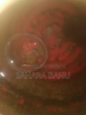 Aggressive Red Molly বিক্রি