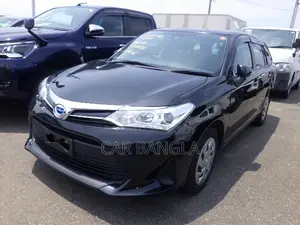 Toyota Corolla Fielder 2021 Black
