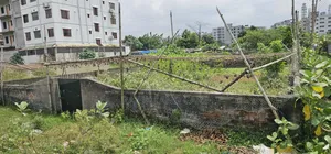 সেক্টর ১৭/ বি রোড ১/ বি প্লট # উত্তর পশ্চিম  কর্নার