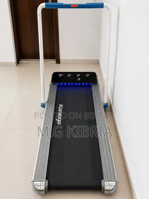 Home Gym Setup Treadmill, Elliptical, Boxing Trainer, Pull-Up Sell
