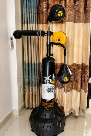 Home Gym Setup Treadmill, Elliptical, Boxing Trainer, Pull-Up Sell