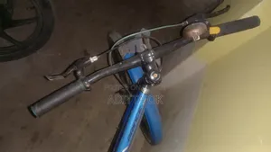 Prince Cycle