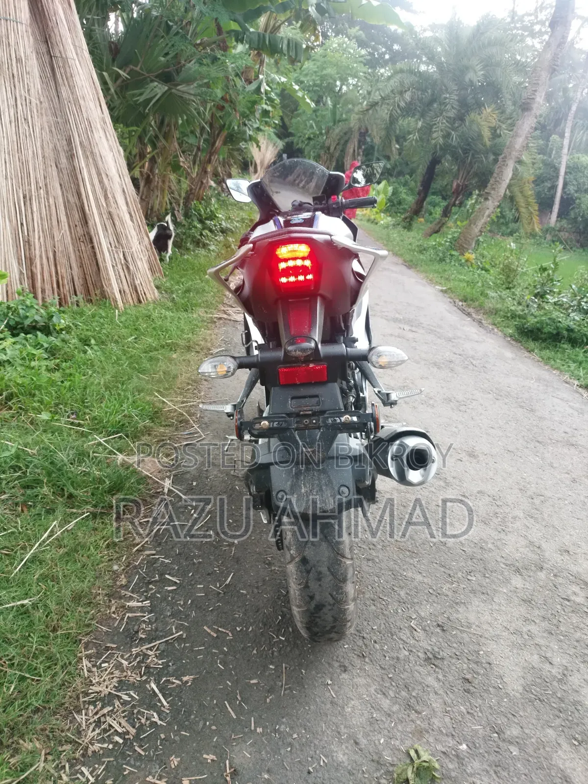 Yamaha R15M 2025 Gray