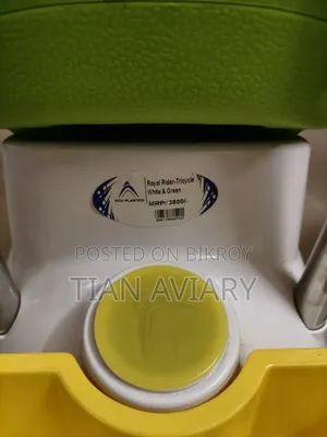 Baby Tricycle
