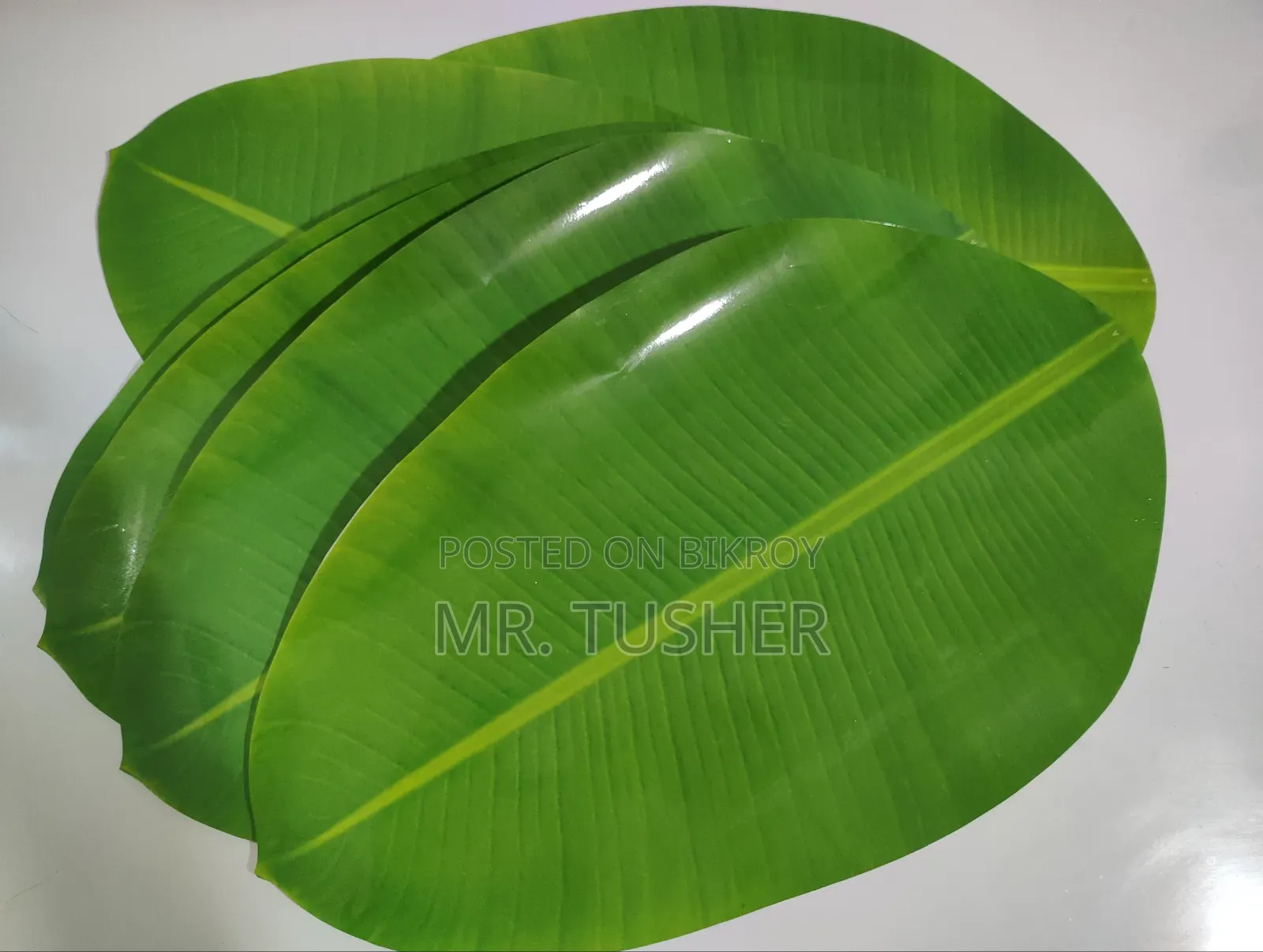 Banana Leaf Table Mat