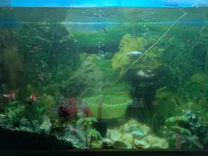 Aquriam Home