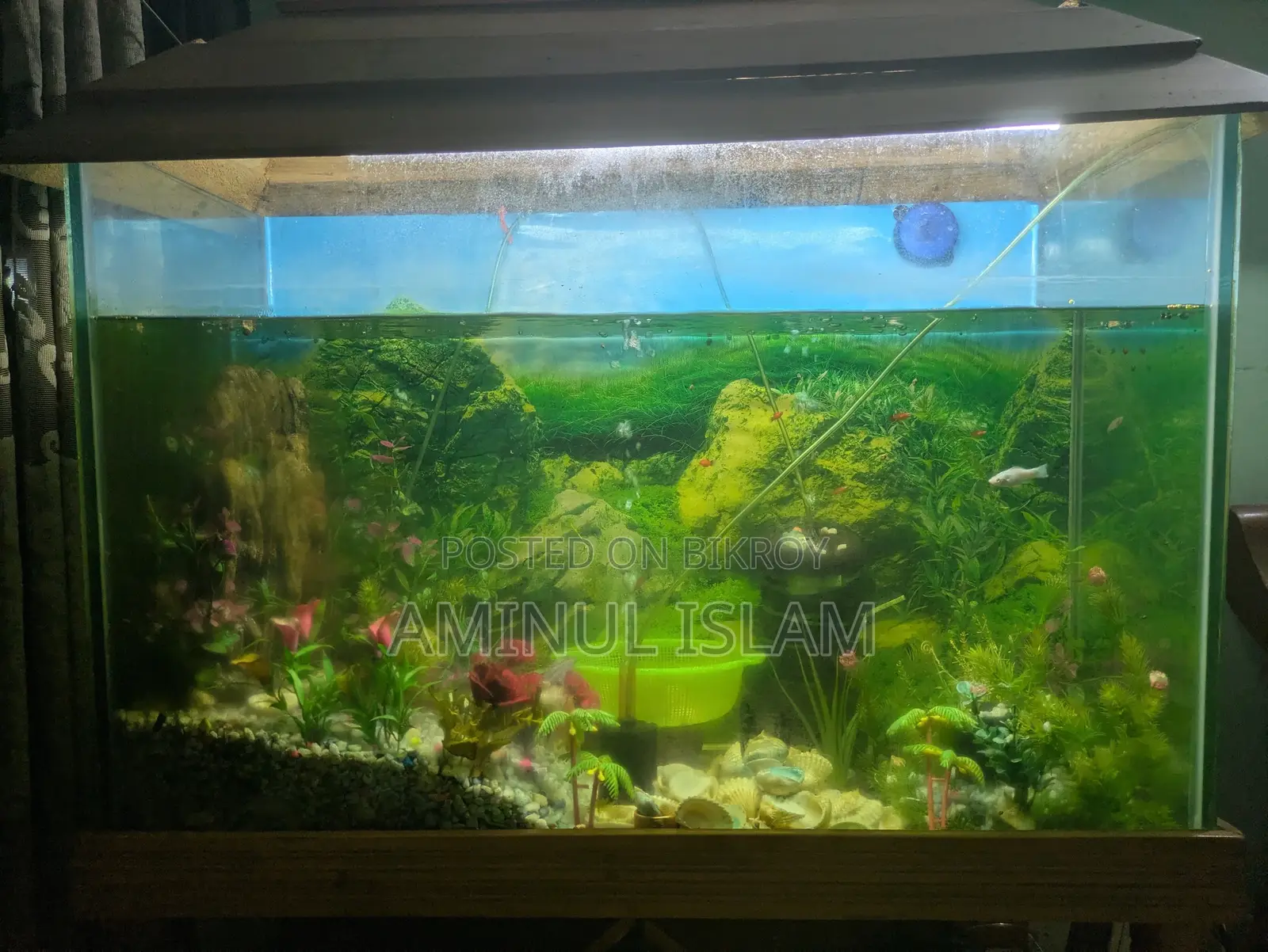 Aquriam Home