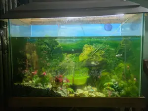 Aquriam Home