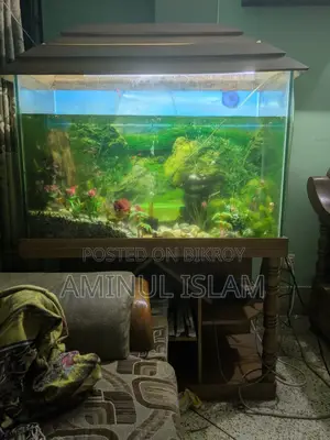 Aquriam Home