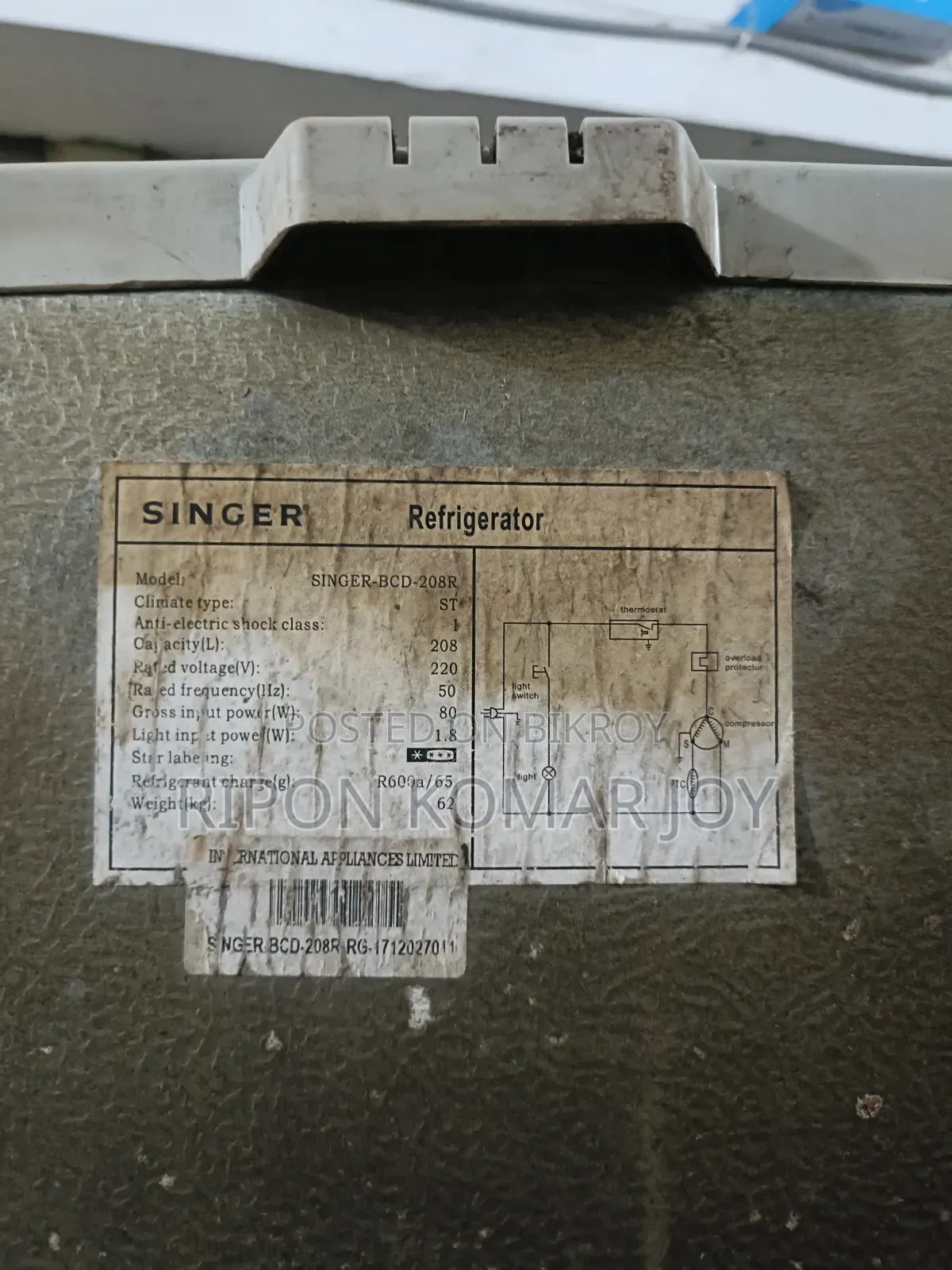 Singer Reflection