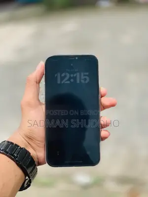 Apple iPhone 12 Pro Max 256 GB Blue