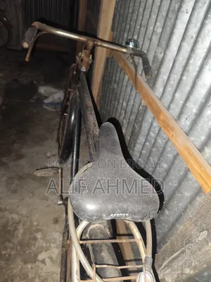 Phoenix Bicycle