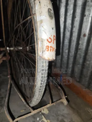 Phoenix Bicycle