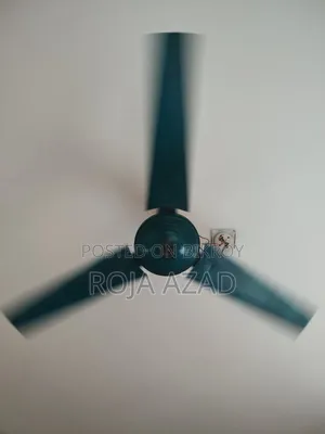 Ceiling Fan