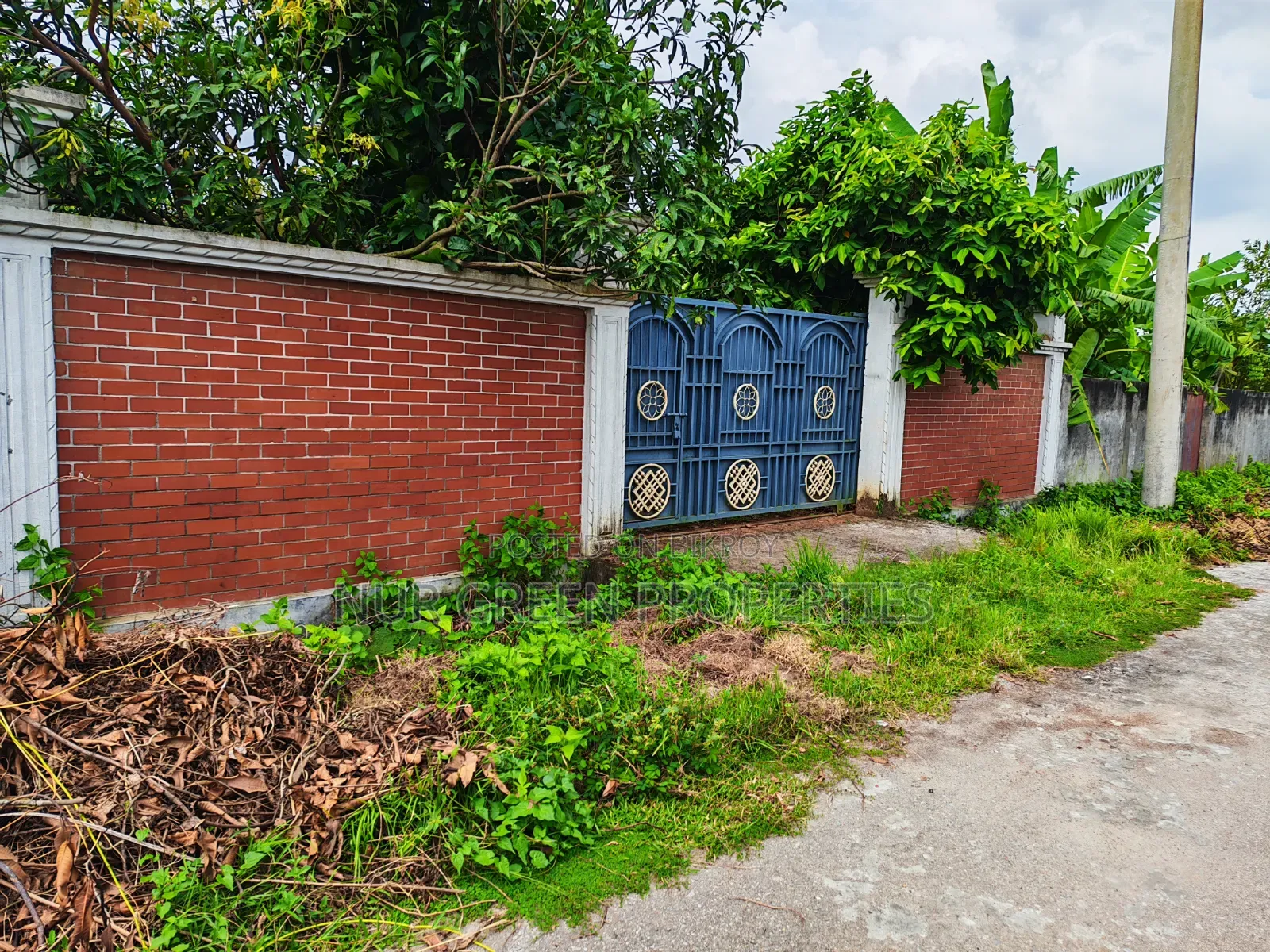 ৩ কাঠা প্লট বিক্রি কম দামে