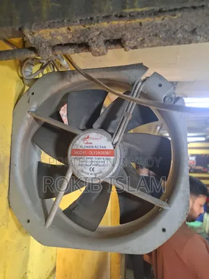 একজস্ট ফেন