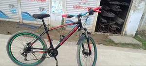 Oil Berk Cycle