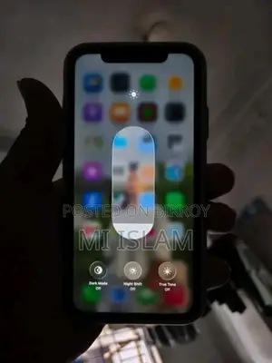 Apple iPhone 11 64 GB Green