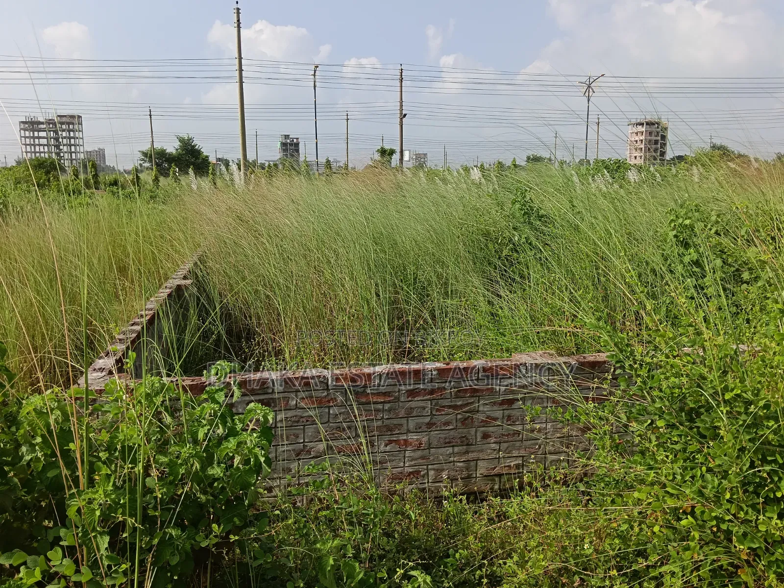 Block-M, 7.50 Katha South Face Plot Sale