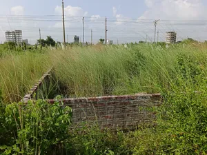 Block-M, 7.50 Katha South Face Plot Sale
