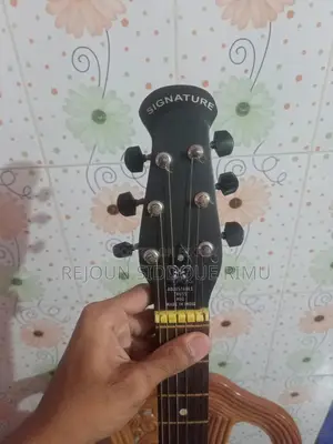 Signature-265 Guiter(Loud Sceries)