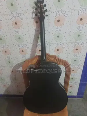 Signature-265 Guiter(Loud Sceries)