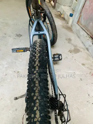 Phoenix Bicycle