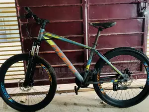 Phoenix Bicycle
