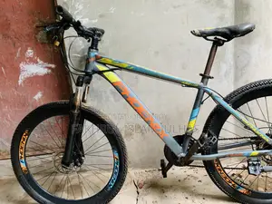 Phoenix Bicycle