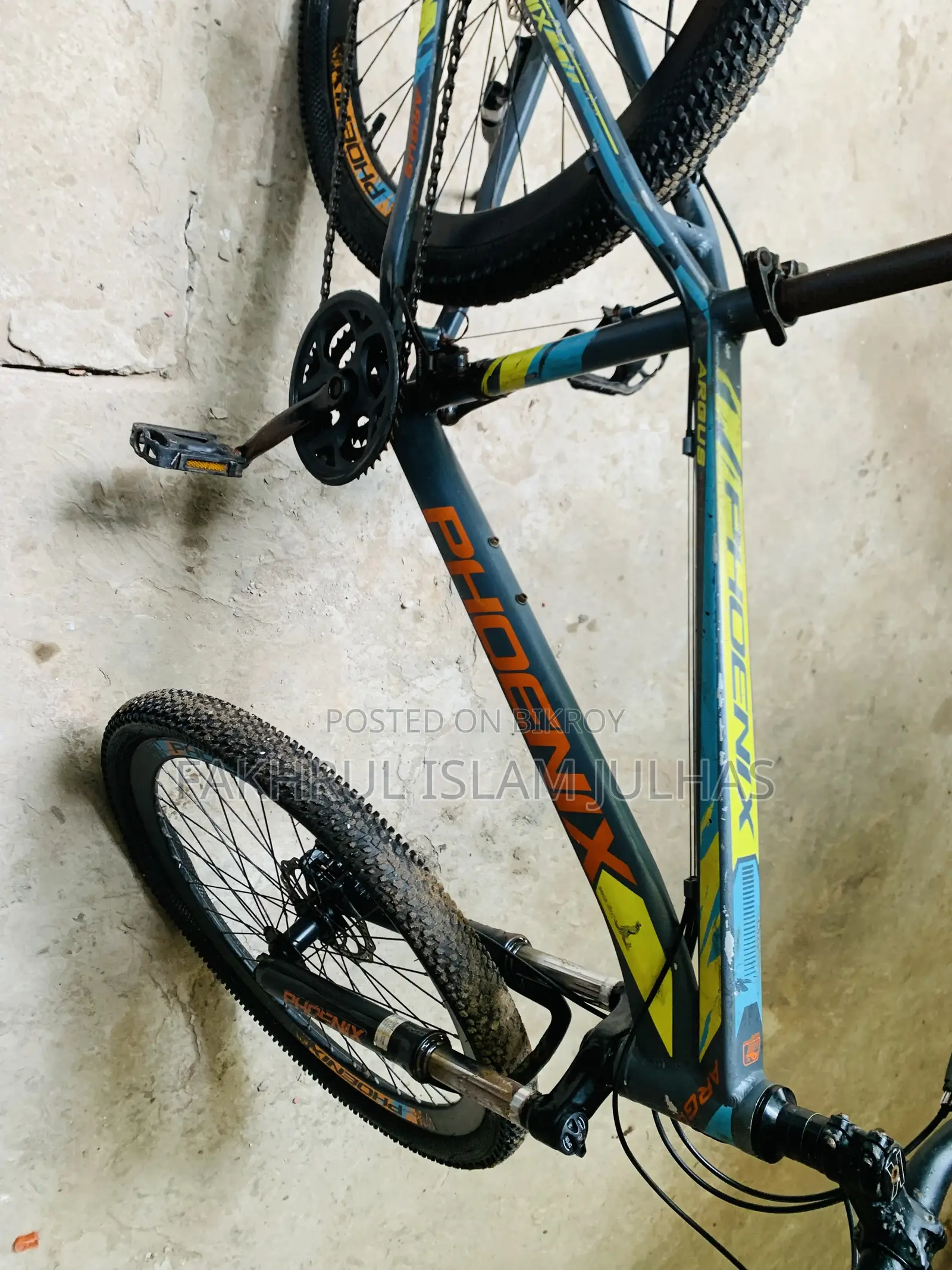 Phoenix Bicycle