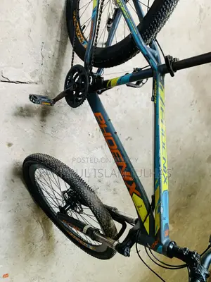 Phoenix Bicycle