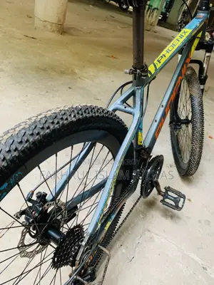 Phoenix Bicycle
