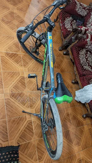 Phoenix Gear Cycle