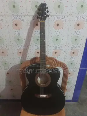 Signature-265 Guiter(Loud Sceries)