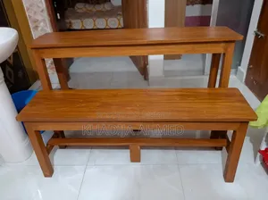 School/College/Coaching Bench