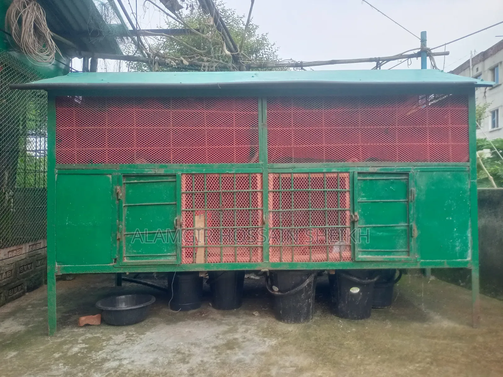 মুরগির খোপ