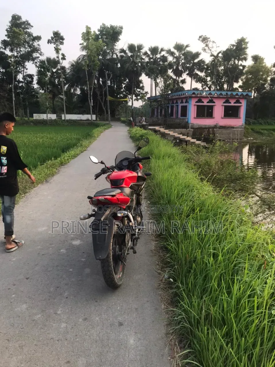 New Pursang E-Tracker 2018 Red