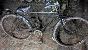 Big Dog Husky 2014 Black