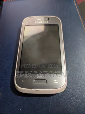 Samsung Galaxy Young S6310 4 GB Gray