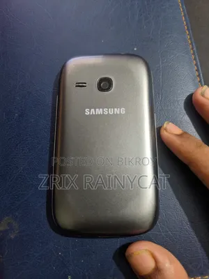 Samsung Galaxy Young S6310 4 GB Gray
