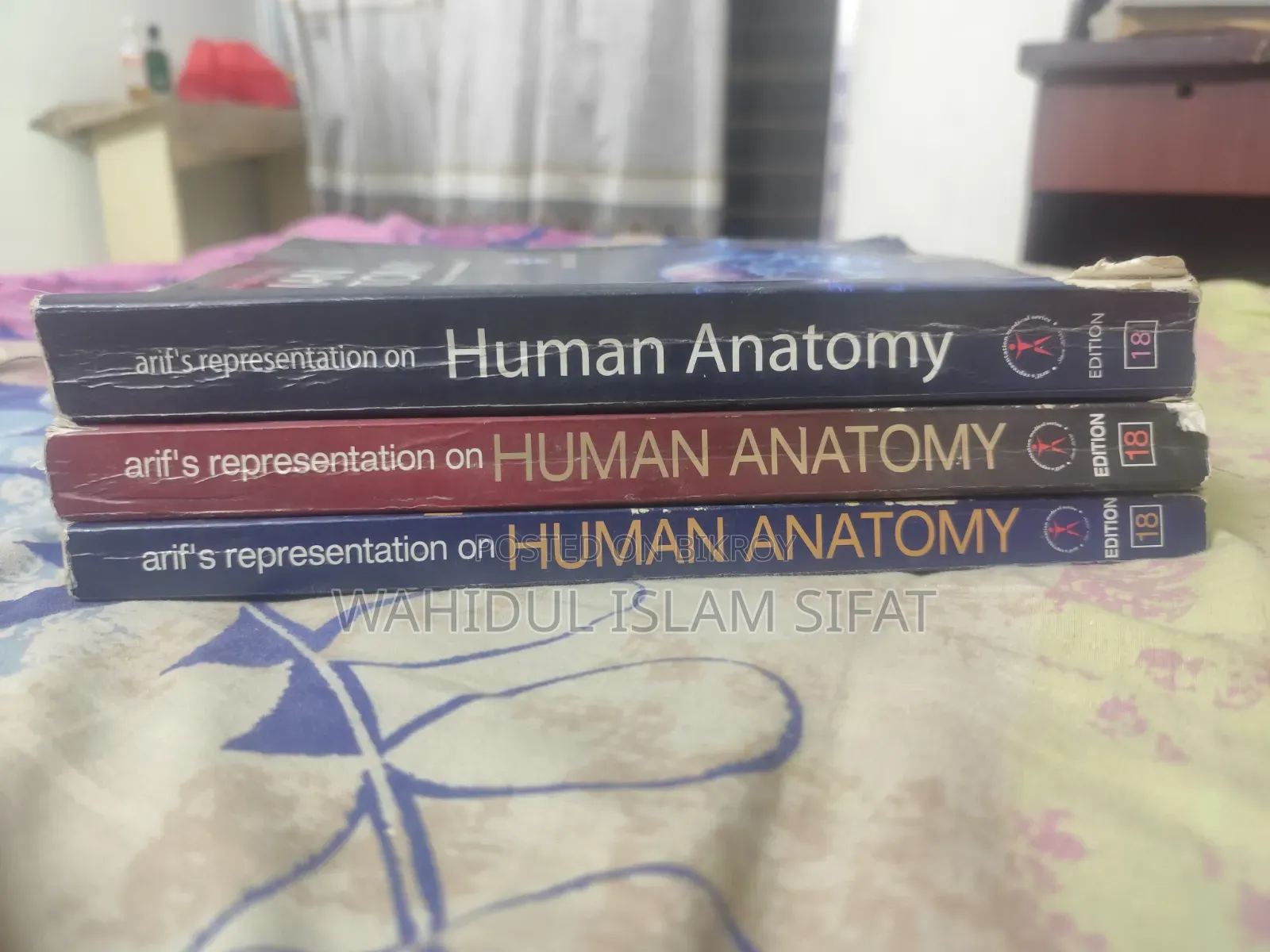 Anatomy Guide