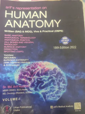 Anatomy Guide