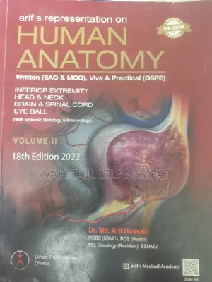Anatomy Guide