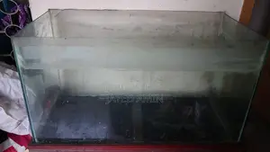 2.5 Feet Aquarium (2 Ft 6 Inch Fish Tank)