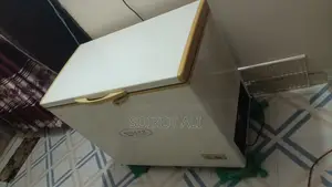 Singer Deep Fridge 250 LTR Emergency Sell