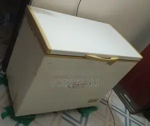 Singer Deep Fridge 250 LTR Emergency Sell