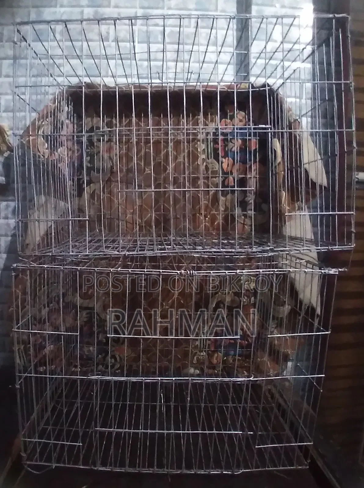 Pigeon Cage
