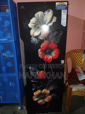 Refrigerator and Kitchen Self