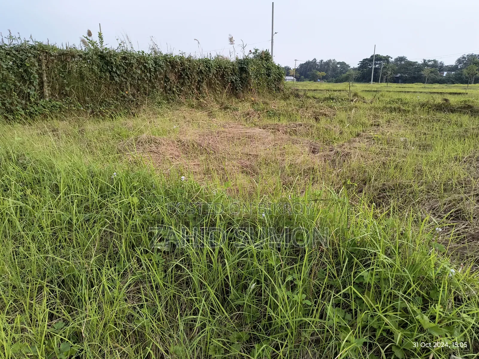 Purbachal American City 2.8 Katha Plot for Sell